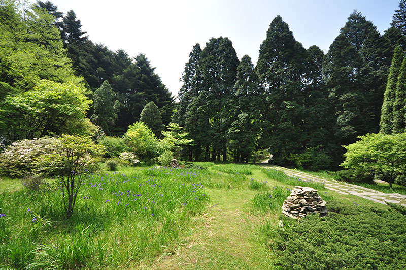 鸢尾区
