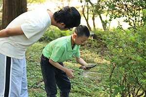 庐山植物园联合华南国家植物园启动“我家的绿植”公民科学项目